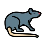 Mouse illustration for rodent removal