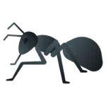 Black ant illustration for ant control