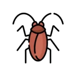 Cockroach illustration for cockroach removal