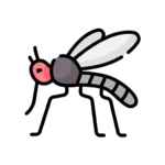 Mosquito illustration for mosquito control