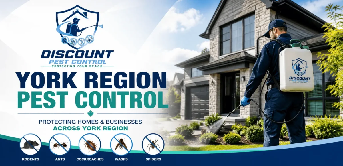York Region pest control and wildlife removal service