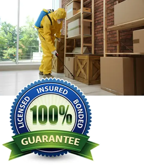 Pest control technician working inside a home